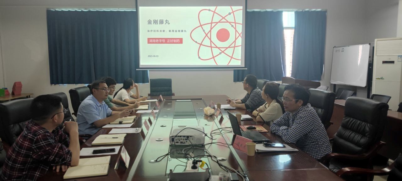 湖南德天集团怀化正好制药有限公司来我校药学院进行交流座谈