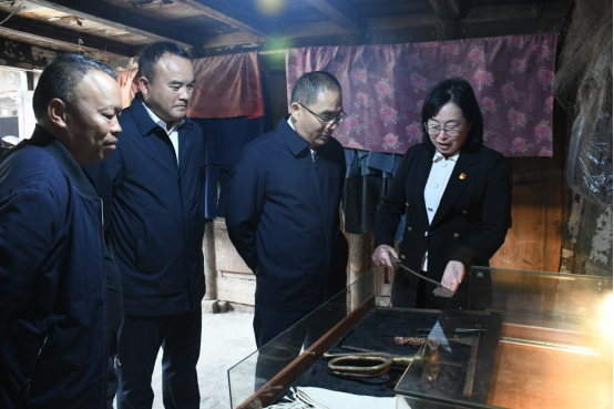 党委书记张在其专题调研向家地红色文化